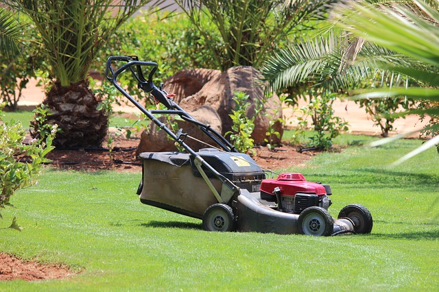 Spring Lawn Care Tip #5: Lawn Mower Tune-up