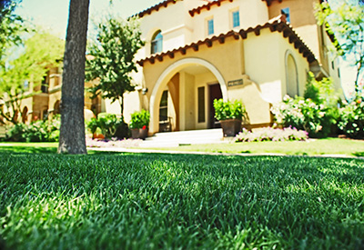 a house with front lawn sod from Evergreen Turf